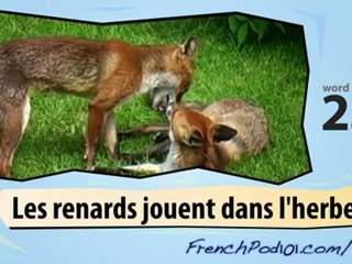 Learn French-Learn with French wild animals video