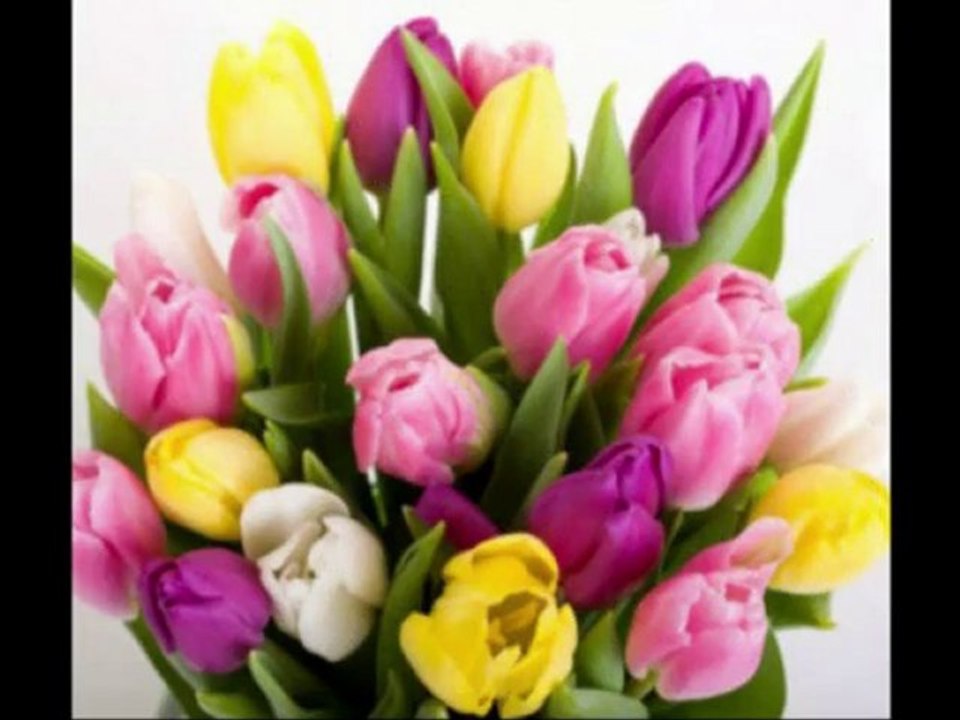 Tolga biskra le 12 novembre 2009 Lichana Biskra