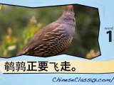 learn Chinese-Learn with Chinese Birds 2 video