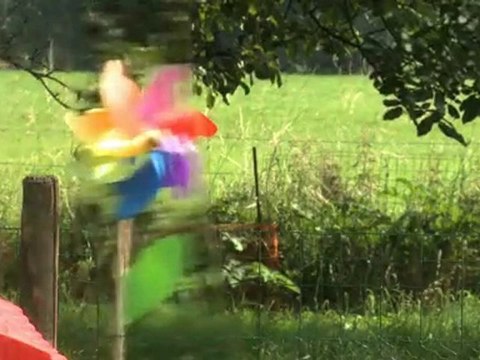 Cocoon Services: Entreprise de titre services-aide ménagère