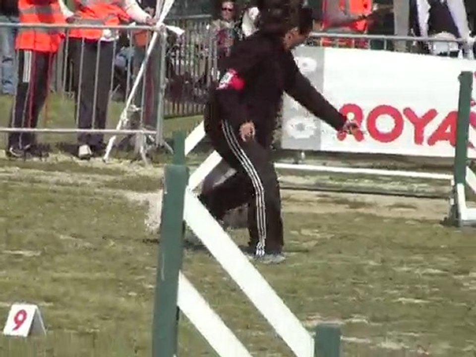 jump tef lunel