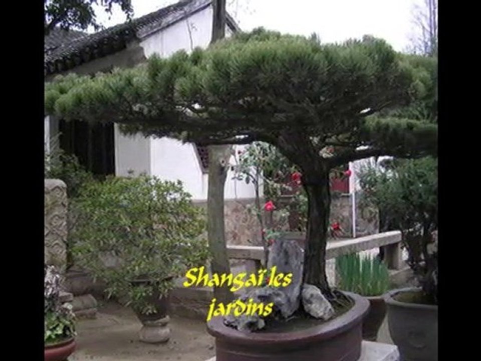 Schangaï