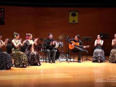 Espectacle Dansa Espanyola Concert Benèfic Haití