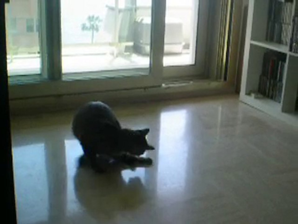 obiwan s'amuse, le retour !