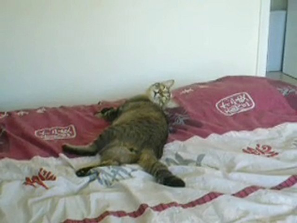 Anakin s'amuse aussi !