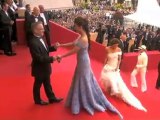 Cannes 2010 - La alfombra roja de la inauguración