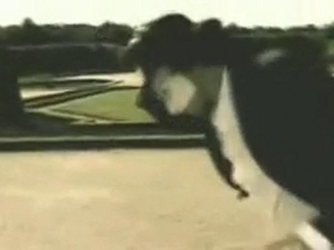 Klub des loosers - La femme de fer (clip)