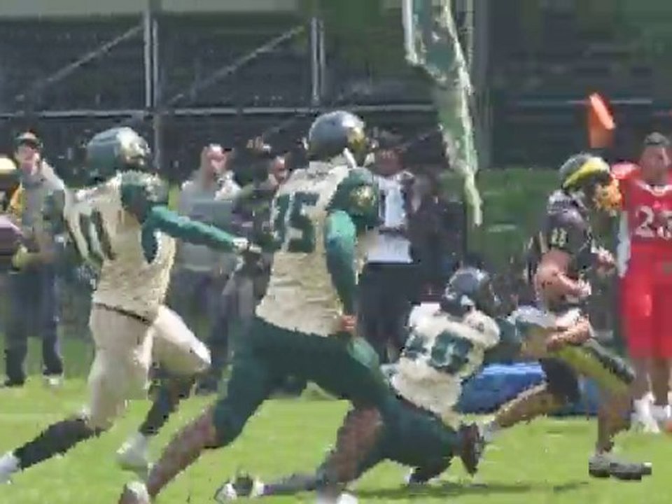 TD amine mekri