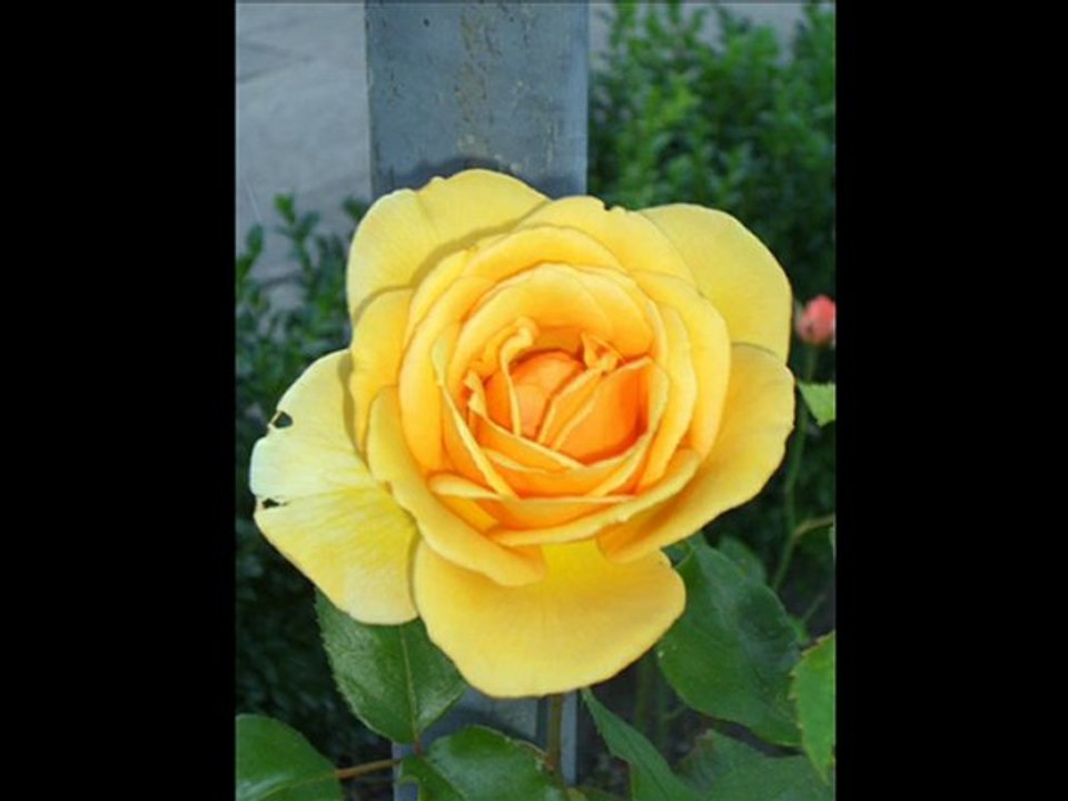 Relax with Ney and....