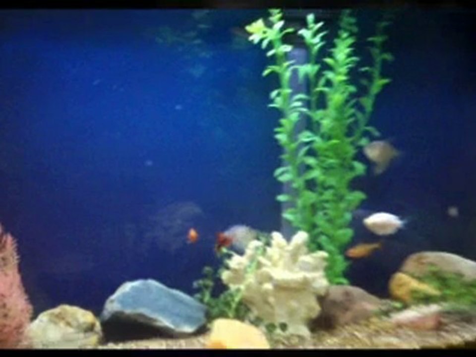 Dr. Schadow- chiropractor in Coon Rapids MN.