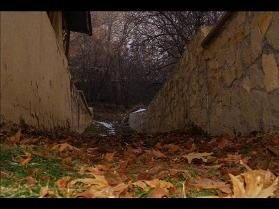 perişan hallerim neşet ertaş