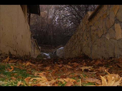 perişan hallerim neşet ertaş