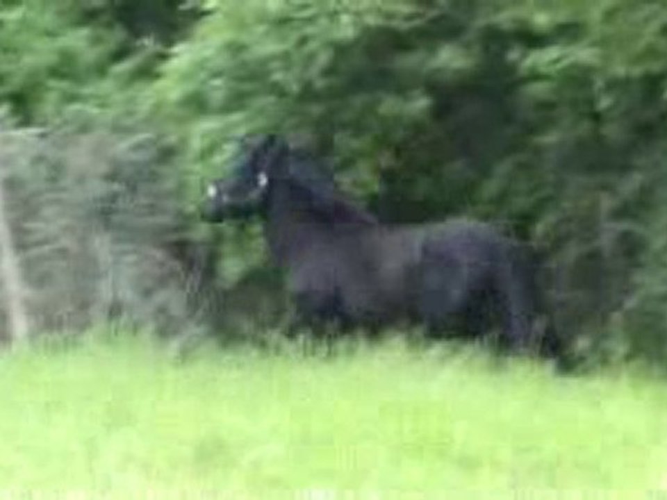 Merlin 2
