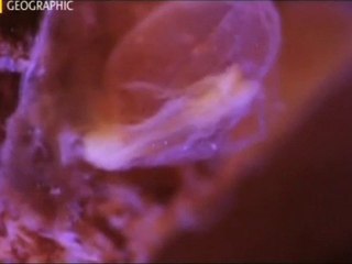 İnsanın ilk yaratılışı