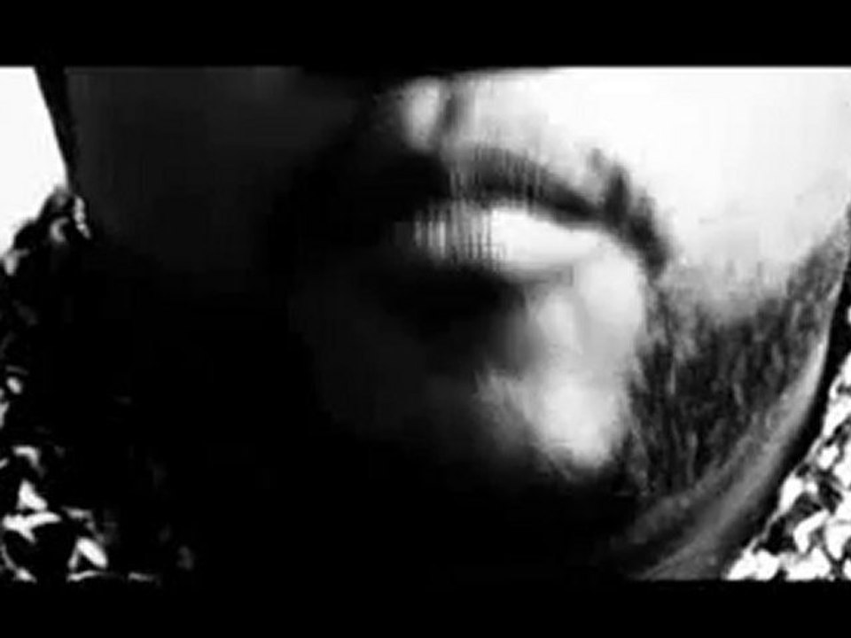 T'IMS- NOIR ET FIER REALISE PAR ALEXANDER STARZ