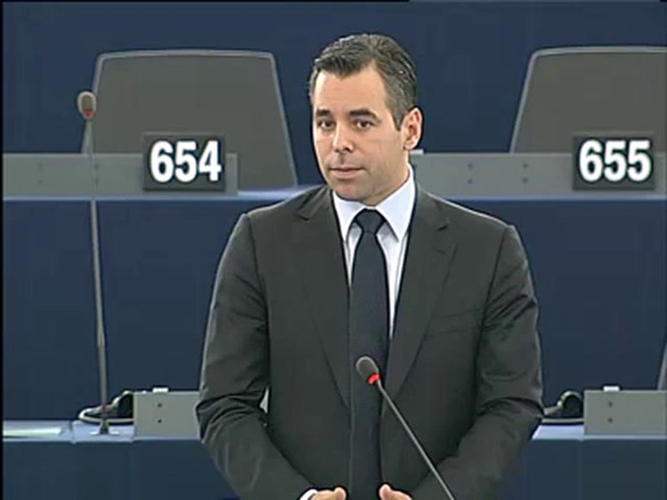 Alexander Alvaro on Schengen Information System