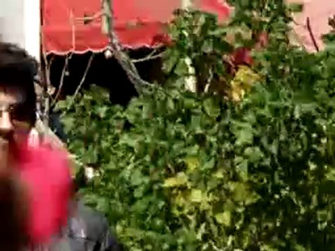 Jonas Brothers - L.A. Baby (5.15.10) The Grove