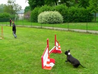 cyrille bud nancy 2010