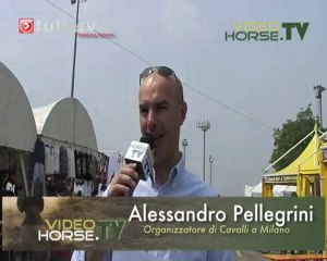 Fiera Travagliato Cavalli
