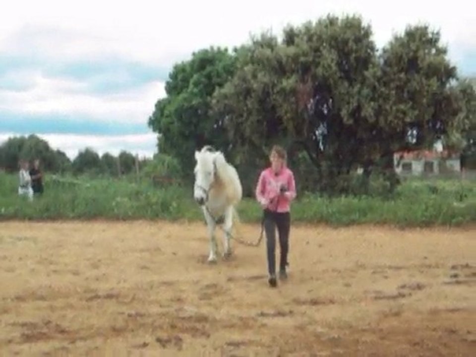 Mix du week-end