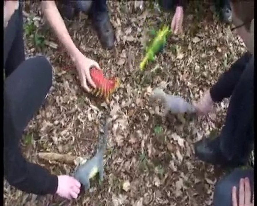 Campagne BDE 2010 - Tsunamines - Making-of