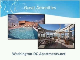 Washington DC Apartment Rentals