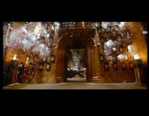 Harry Potter and the Order of the Phoenix  (2007)