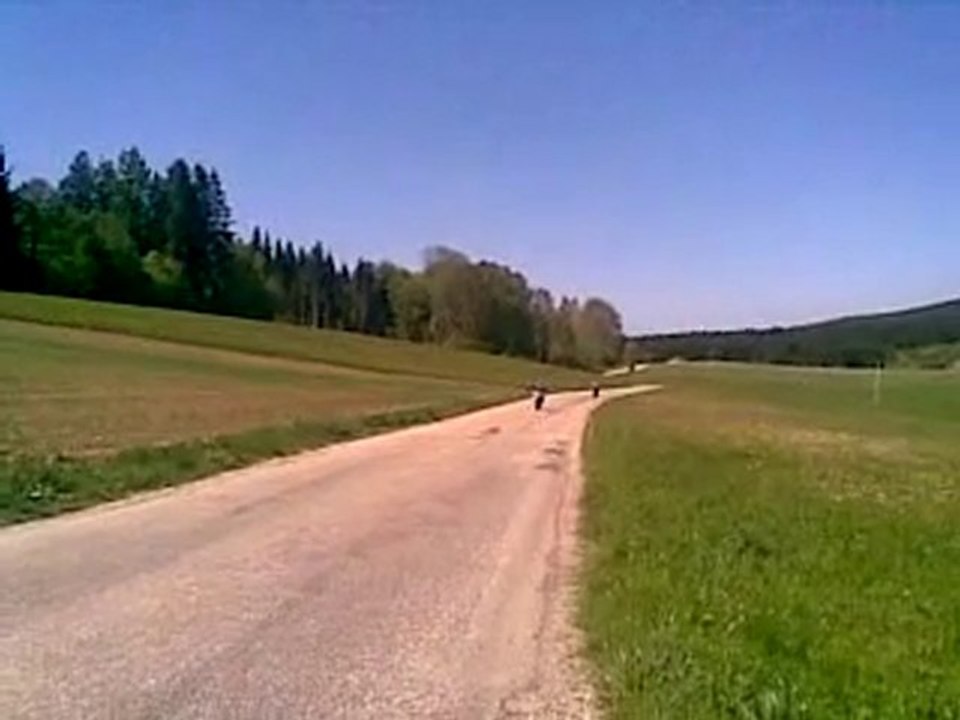 polini 80