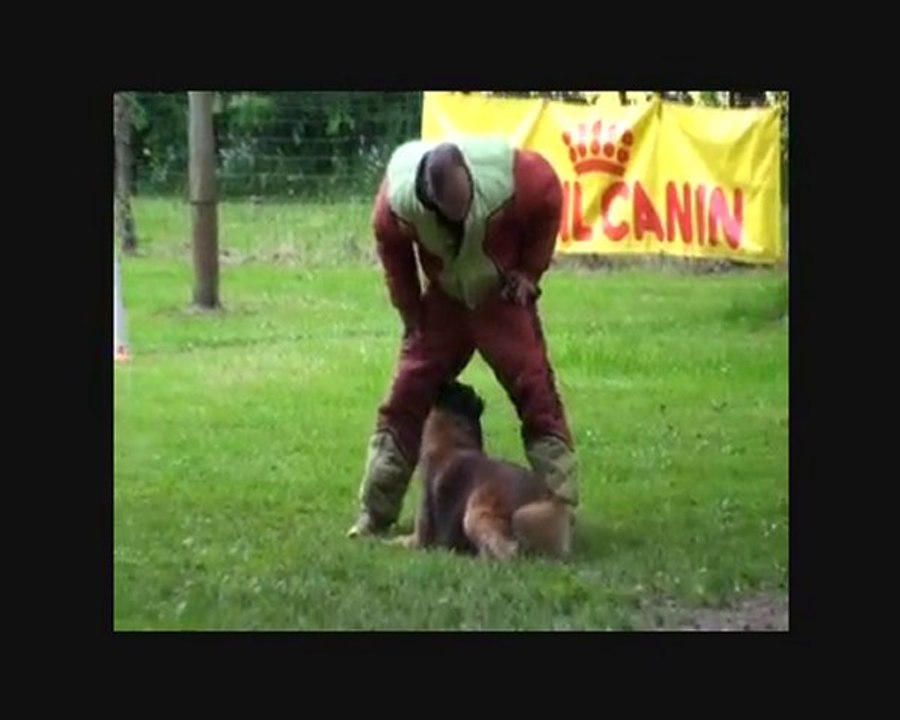 concours ring 2009 niveau 3