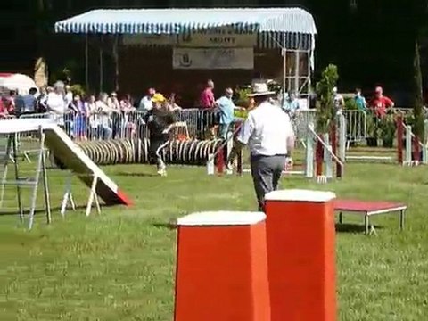 TGR Miramas - Bambou - 1er jour Agility