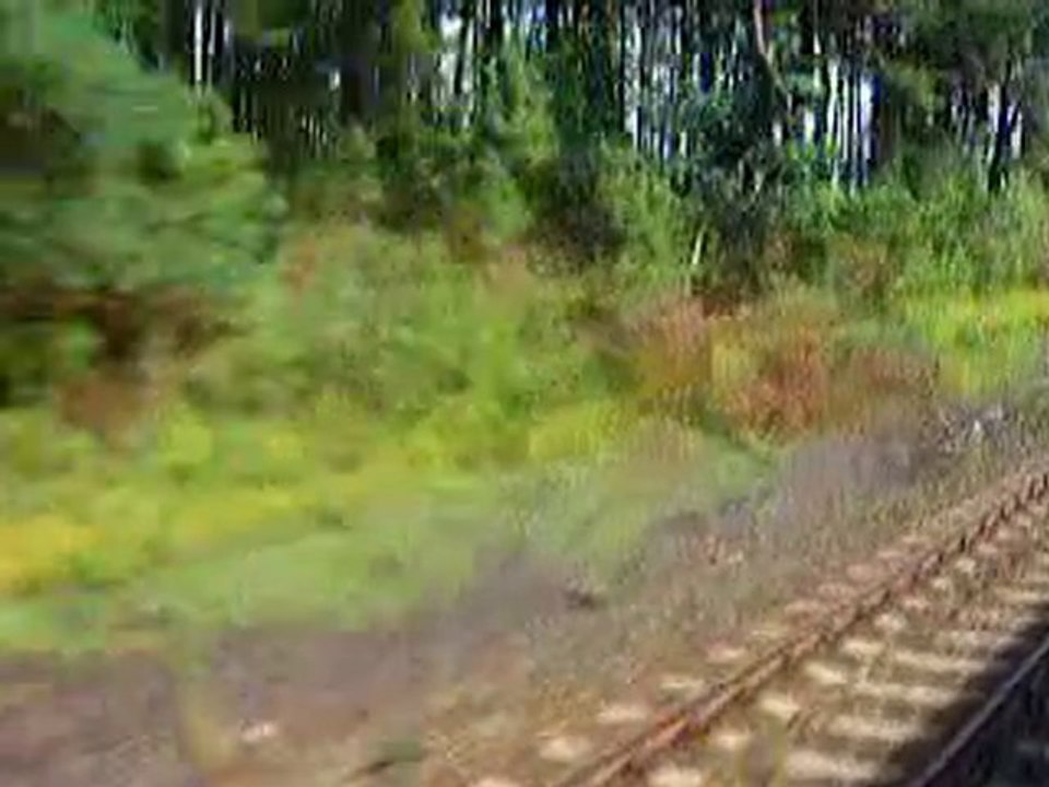 Pociąg na trasie Gdańsk-Ciechanów