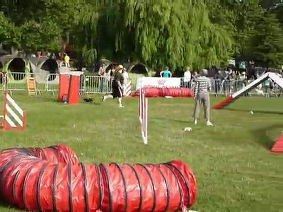 TGR Miramas - Bambou - 2eme jour Agility