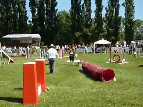 TGR Miramas - Silver - 1er jour Agility