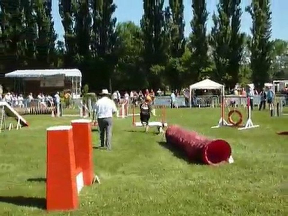 TGR Miramas - Silver - 1er jour Agility