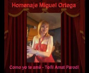 Como yo te amé - Toñi Amat Parodi