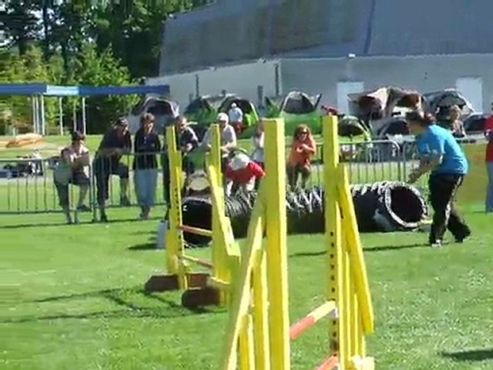 After agility 1 Trophée par équipe Limoges 2010