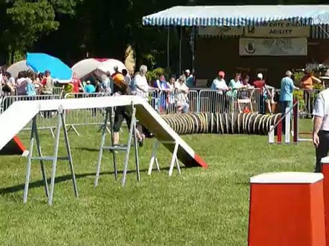 TGR Miramas - Vodka - 1er jour Agility