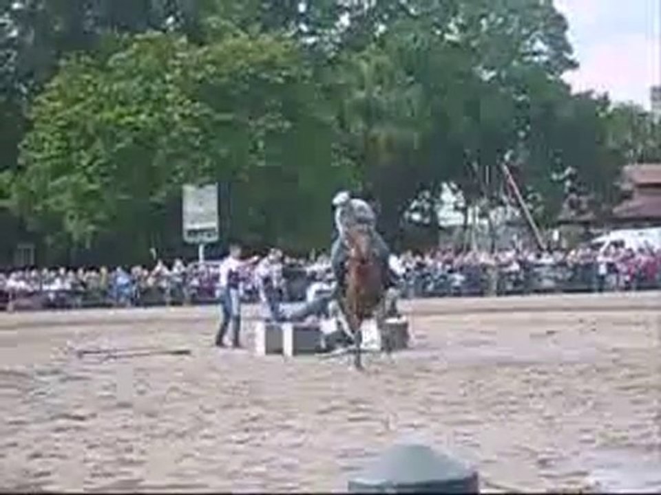 Cheval vs accrobates