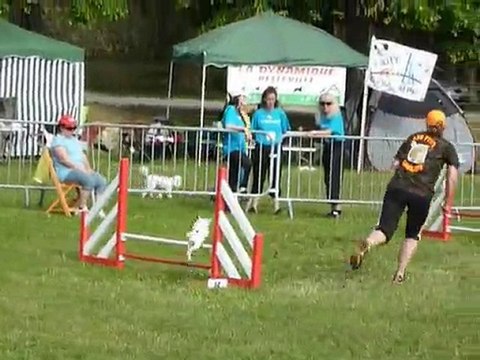 TGR Miramas - Vodka - 2eme jour Agility