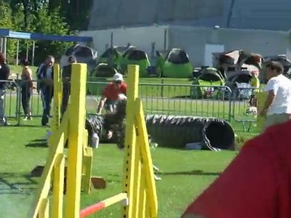 Aika agility 1 Trophée par équipe Limoges 2010