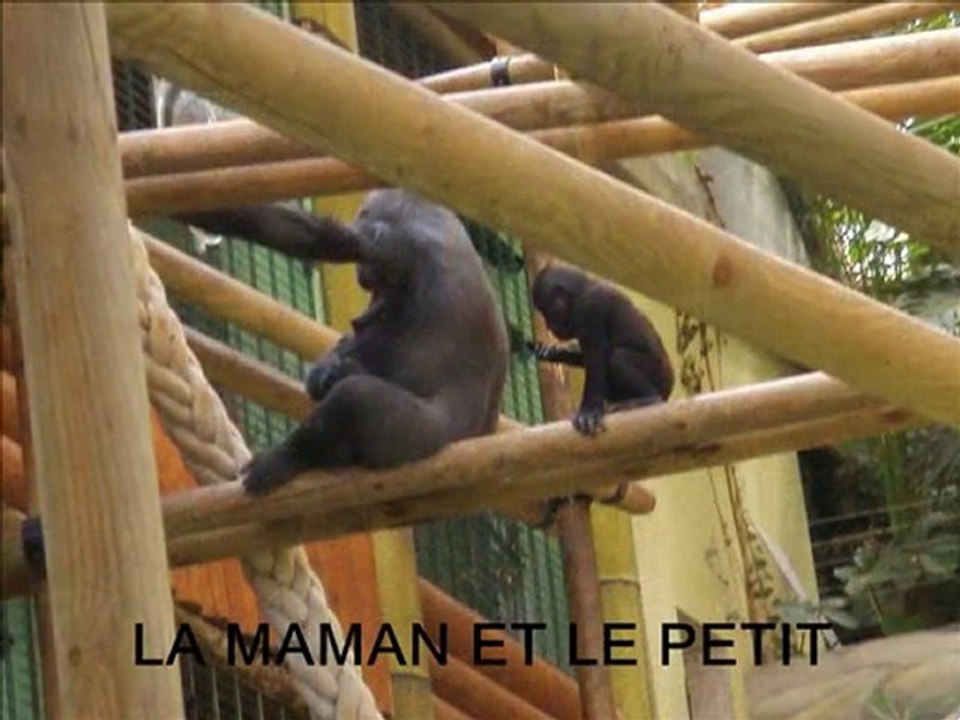 st martin la plaine