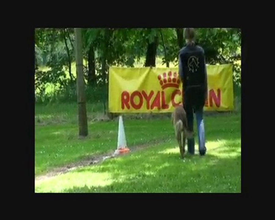 concours ring 2009 niveau 2