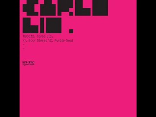 Carlo Lio - Purple Soul ( Original Mix )