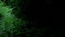 LOST - 3