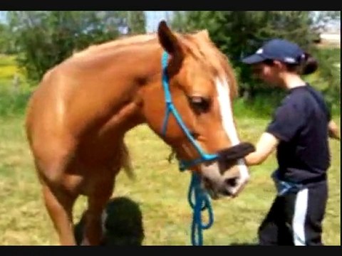 ulis et moi au travail