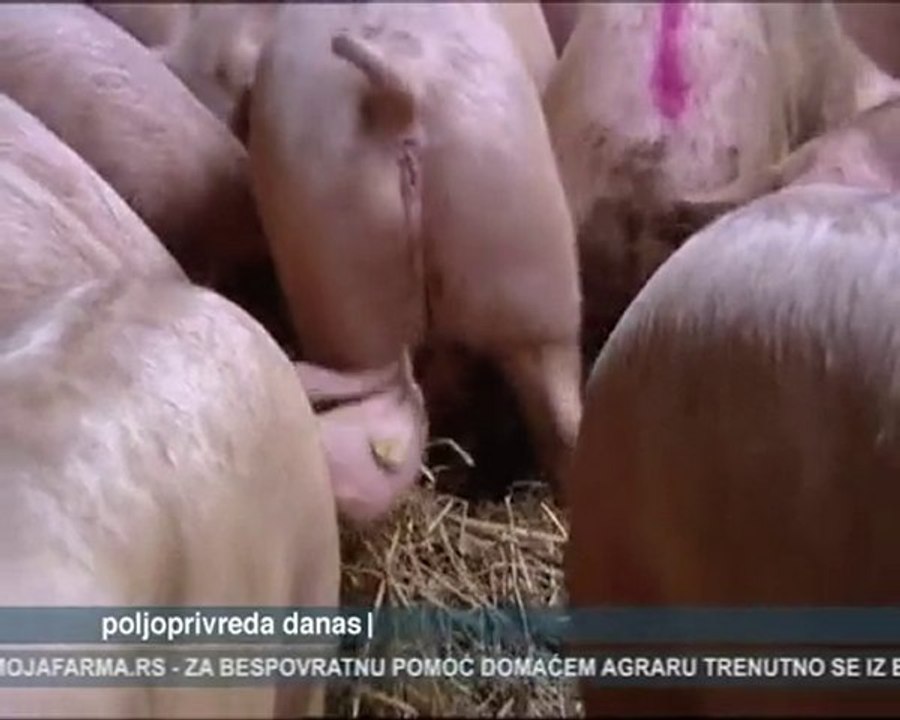 Poljoprivreda danas 24.05.2010.