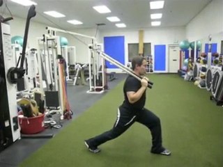 Pallof Press Exercise - New Vertical Pallof Presses