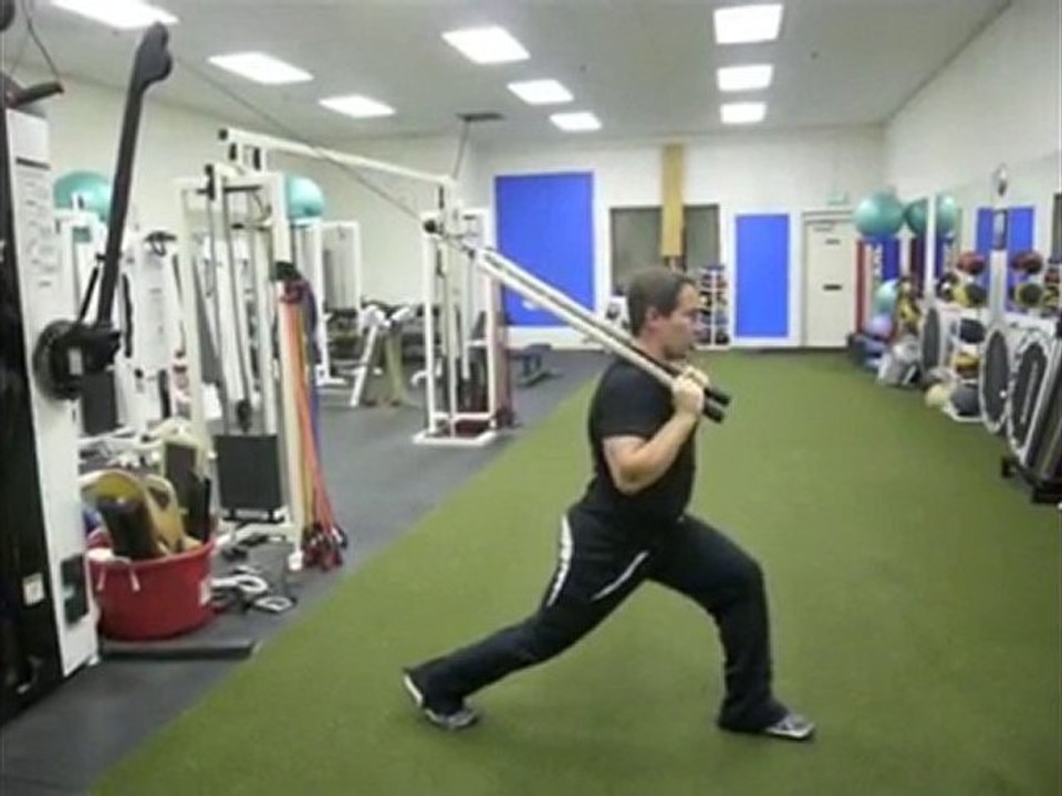 Pallof Press Exercise - New Vertical Pallof Presses