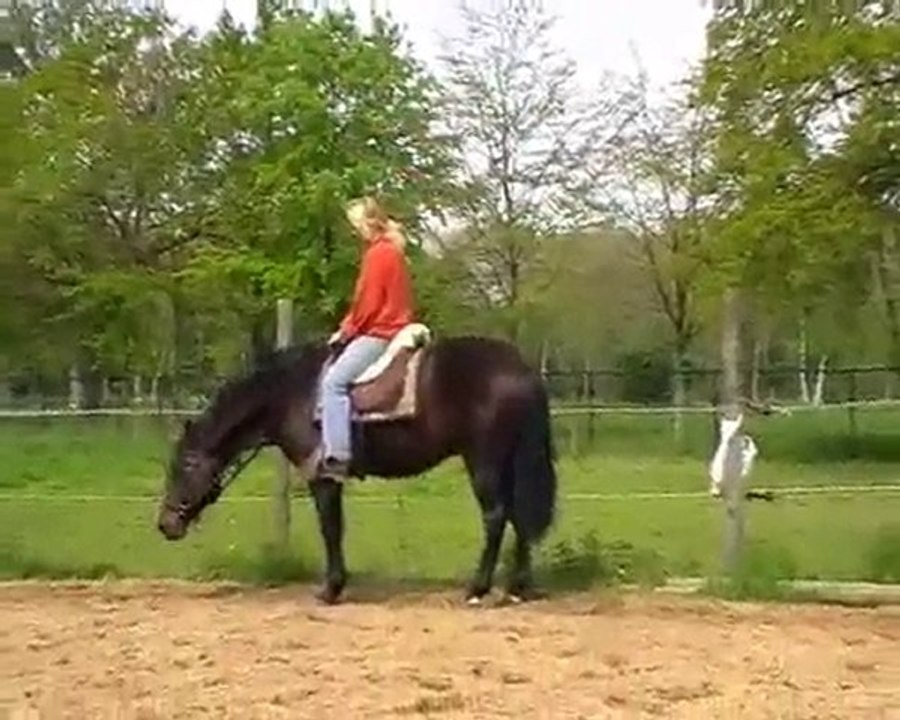 django