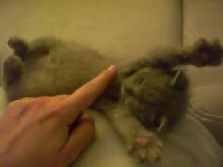 collegehumor.26002c542b26b59db86d822fa2701d87